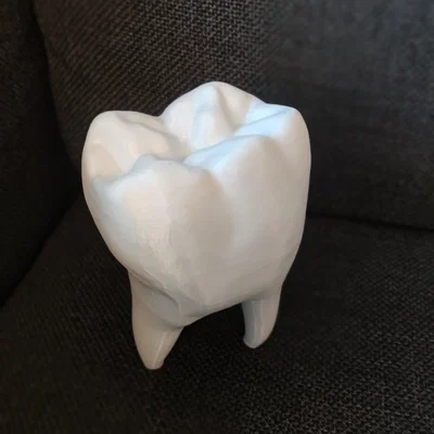 Mê cung Răng Rỗng (Hollow Tooth Maze)