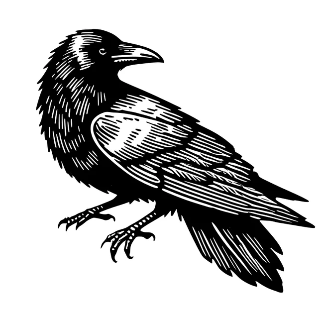 Bộ Mô Hình Chim Quạ Trang Trí Tường Độc Đáo (Crows Wall Art) - Image 1