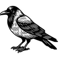 Bộ Mô Hình Chim Quạ Trang Trí Tường Độc Đáo (Crows Wall Art) - Thumbnail 4