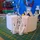 Dester_433959