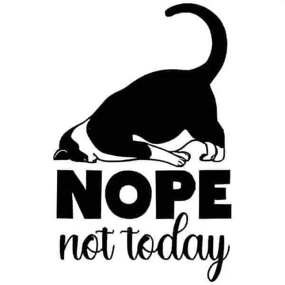 [Hueforge] Nope Not Today - Image 1