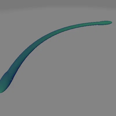 bent_Penile_sounding_Rod – thanh sounding cong 9mm