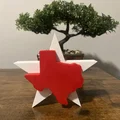 Mô hình trang trí Ngôi sao Bang Texas (Texas State Star) in 3D - Thumbnail 2