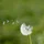 Eric_336328