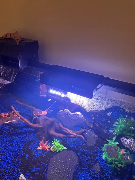 Nắp che đèn LED cho bể cá/terrarium 8 inch - Image 4