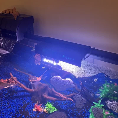 Nắp che đèn LED cho bể cá/terrarium 8 inch