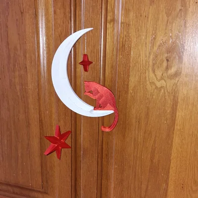 Mặt Trăng và Mèo (Moon and Cat)