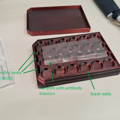 Khay 24 giếng cho rửa và nhuộm ICC (24-well Plate for ICC Washes and Staining)