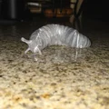 Slug khớp nối đeo nơ (Sluglina) - Articulated Slug with Bow - Thumbnail 2