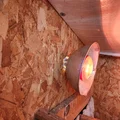 Hệ Thống Gá Đèn Sưởi Chuồng Gà #2 (Chicken Coop Heat Lamp Mount System #2) - Thumbnail 4