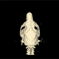 Mô hình hộp sọ chuột lang Guinea Pig chi tiết từ dữ liệu CT 3D - Thumbnail 2