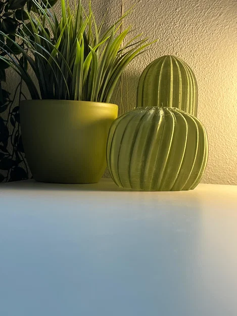 Cactus Combo – Xương rồng decor in 3D - Image 1