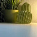 Cactus Combo – Xương rồng decor in 3D - Thumbnail 1