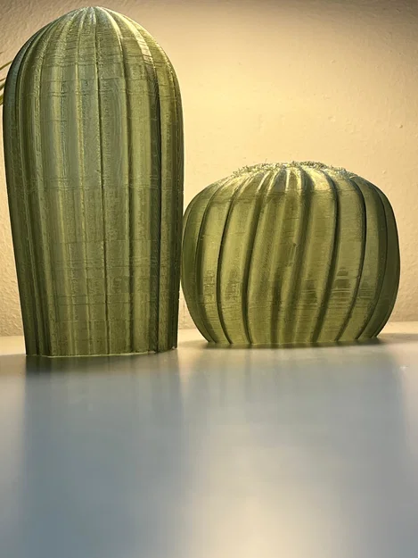 Cactus Combo – Xương rồng decor in 3D - Image 2