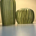 Cactus Combo – Xương rồng decor in 3D - Thumbnail 2