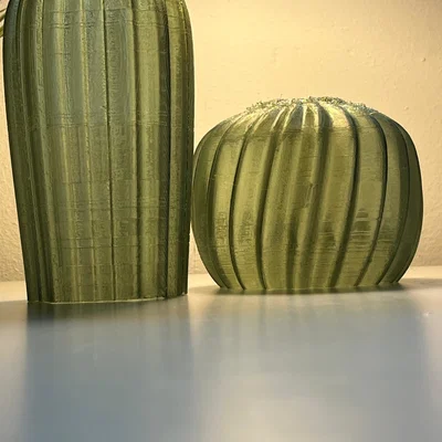Cactus Combo – Xương rồng decor in 3D