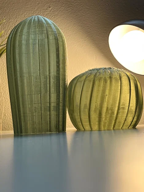 Cactus Combo – Xương rồng decor in 3D - Image 3