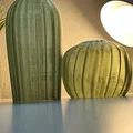 Cactus Combo – Xương rồng decor in 3D - Thumbnail 3
