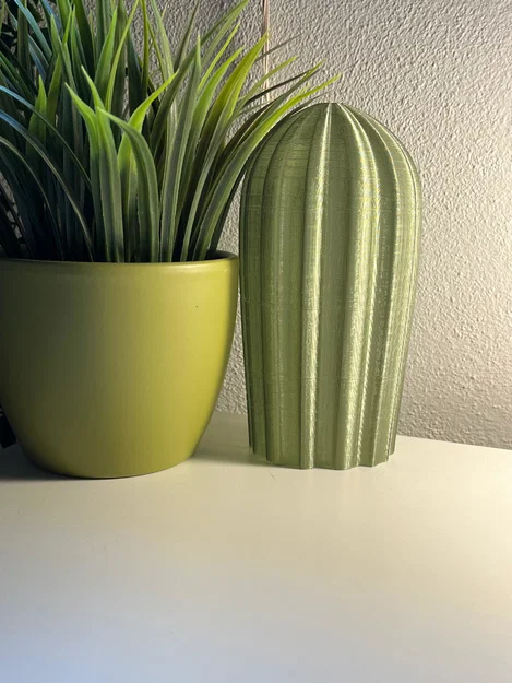 Cactus Combo – Xương rồng decor in 3D - Image 4