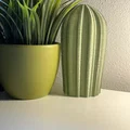 Cactus Combo – Xương rồng decor in 3D - Thumbnail 4