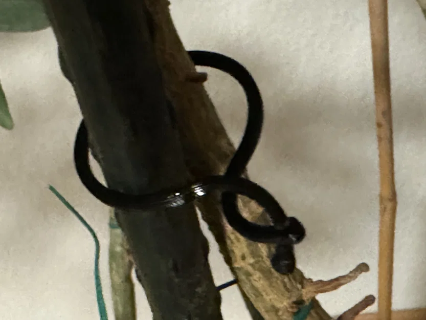 Plant Cramp – Kẹp giữ cây/giữ dây cáp - Image 2