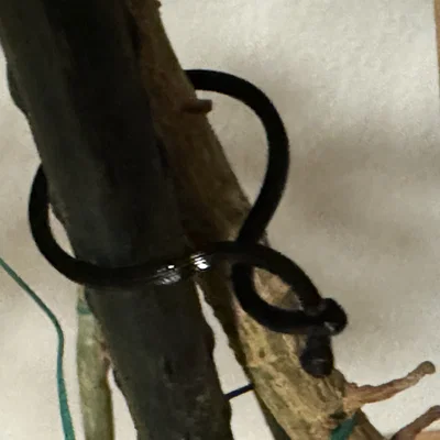 Plant Cramp – Kẹp giữ cây/giữ dây cáp