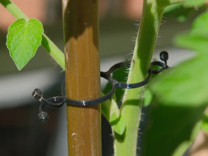 Plant Cramp – Kẹp giữ cây/giữ dây cáp - Image 5