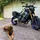 ablos_4446044