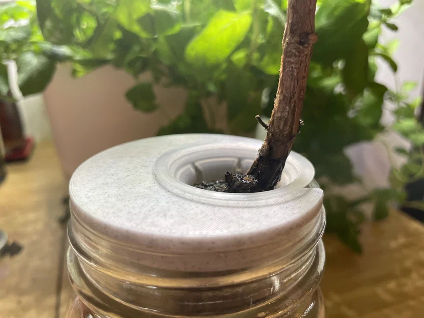 Giá đỡ pod AeroGarden cho hũ Mason - Image 1