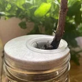 Giá đỡ pod AeroGarden cho hũ Mason - Thumbnail 1