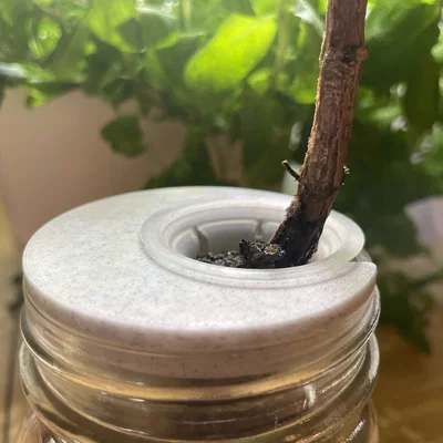Giá đỡ pod AeroGarden cho hũ Mason