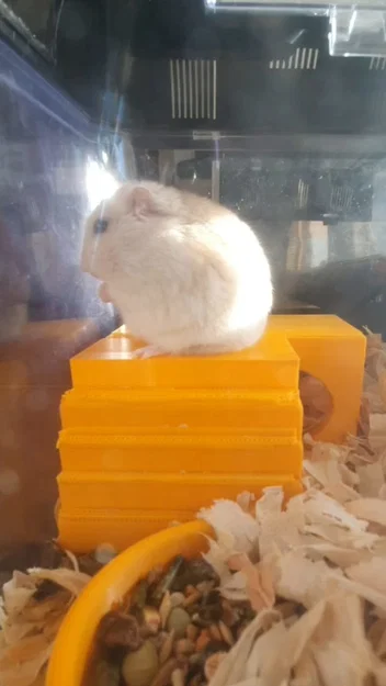 Mô hình nhà cho Hamster dễ thương - Tự in 3D tại nhà - Image 1