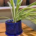 Chậu cây họa tiết mặt trời kèm khay hứng nước in 3D đẹp mắt - Thumbnail 1