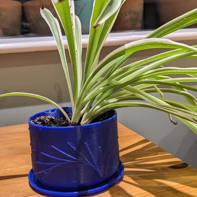 Chậu cây họa tiết mặt trời kèm khay hứng nước in 3D đẹp mắt