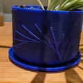 Chậu cây họa tiết mặt trời kèm khay hứng nước in 3D đẹp mắt - Thumbnail 2