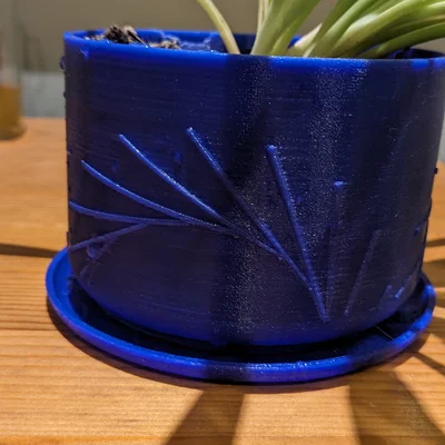 Chậu cây họa tiết mặt trời kèm khay hứng nước in 3D đẹp mắt