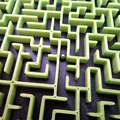 Mê cung 54x44 ô vuông (Maze 54x44 square cells) - Thumbnail 4