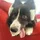 WilmaRidley_498723