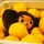 MrWick_2975079