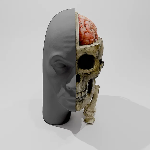 Rockmongus realistic anatomy (giải phẫu chân thực) - Image 1