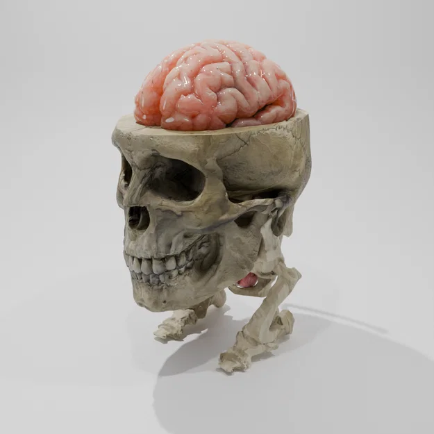 Rockmongus realistic anatomy (giải phẫu chân thực) - Image 5