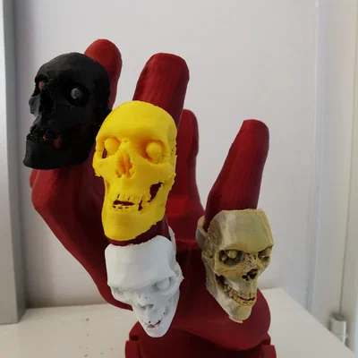 Nhẫn Đầu Lâu (Skull Ring)