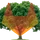 zetneteork