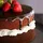 DaweFox_823777