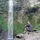 Marc Izquierdo