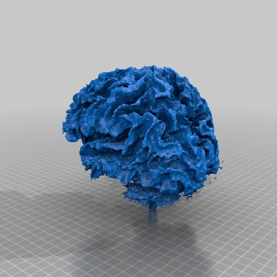 Não của “người được chứng nhận bị điên” — của mình.