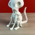 Bobblehead Mèo Bộ Xương (Skeleton Cat Bobblehead) - Thumbnail 5