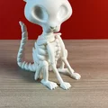 Bobblehead Mèo Bộ Xương (Skeleton Cat Bobblehead) - Thumbnail 7