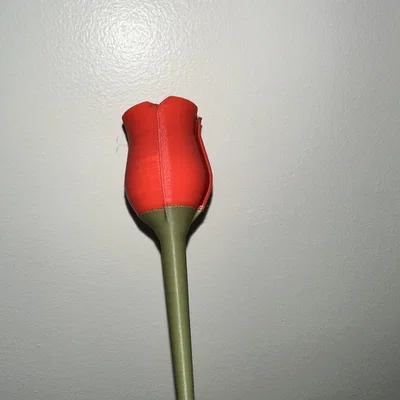 Mô hình bông hoa hồng in 3D (Rose Stem) đẹp mắt và tinh tế