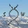 SteveW91